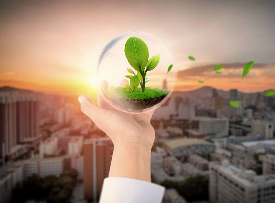 �޼�����»ľ��Ʒ���޹�˾